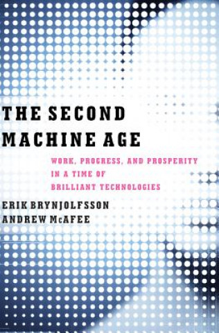 Kniha Second Machine Age Erik Brynjolfsson