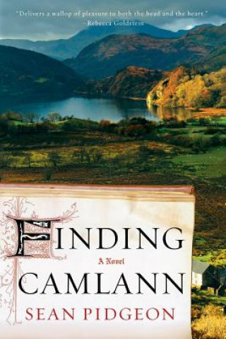Könyv Finding Camlann Sean Pidgeon