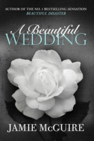Kniha Beautiful Wedding Jamie McGuire