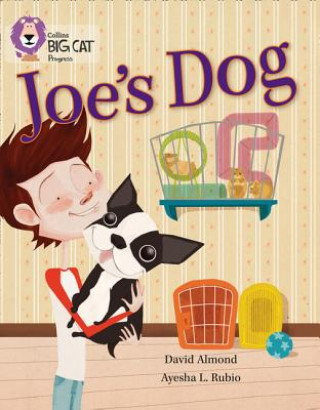 Carte Joe's Dog David Almond