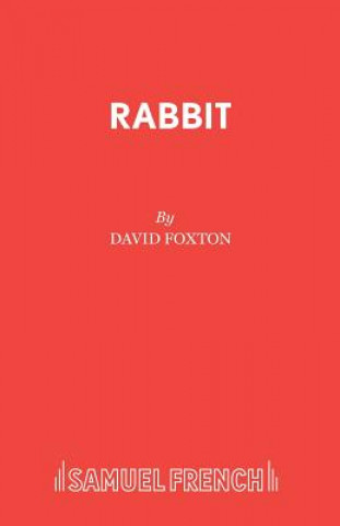 Kniha Rabbit David Foxton