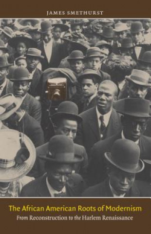 Книга African American Roots of Modernism James Smethurst