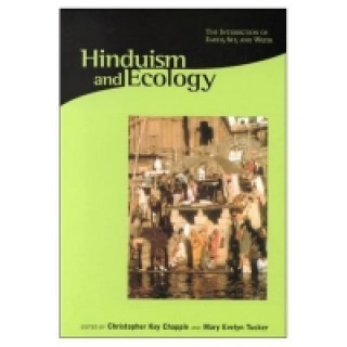 Kniha Hinduism & Ecology - The Intersection of Earth, Sky & Water Christopher Chapple