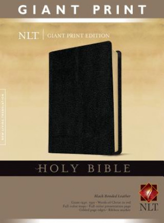 Kniha Giant Print Bible-NLT Tyndale House Publishers