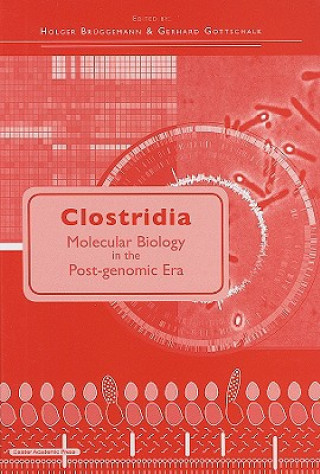 Livre Clostridia Holger Bruggemann