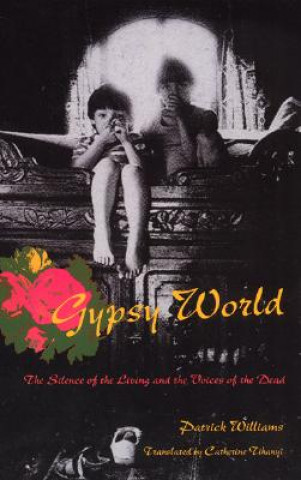 Kniha Gypsy World Patrick Williams