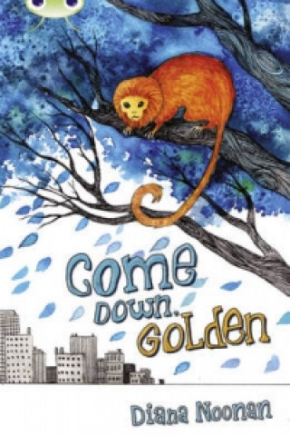 Libro Bug Club Independent Fiction Year 3 Brown A Come Down, Golden Diana Noonan