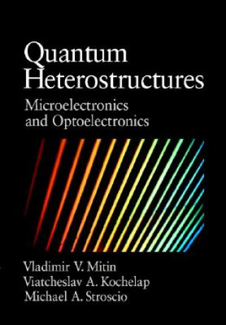 Könyv Quantum Heterostructures Vladimir Mitin
