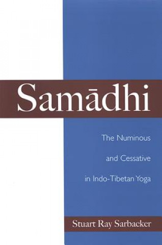 Kniha Samadhi Stuart Ray Sarbacker