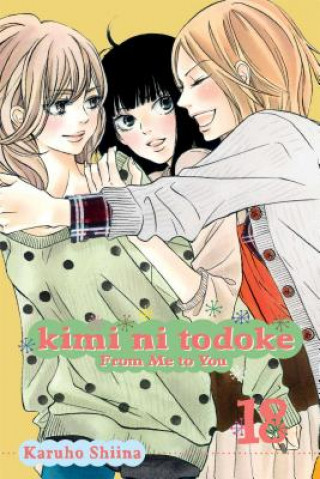 Kniha Kimi ni Todoke: From Me to You, Vol. 18 Karuho Shiina