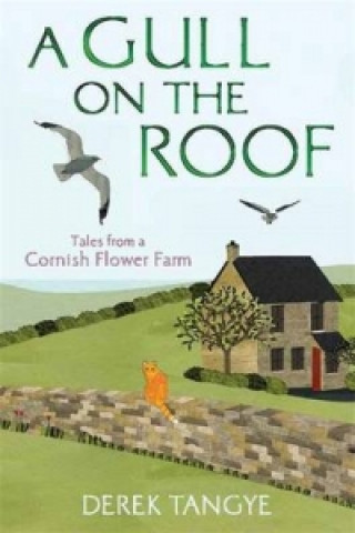 Kniha Gull on the Roof Derek Tangye