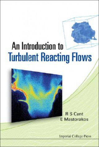 Könyv Introduction To Turbulent Reacting Flows, An R Stewart Cant