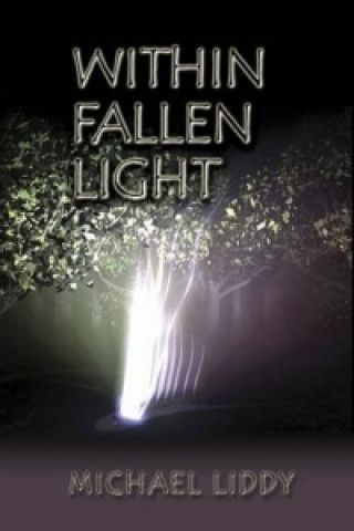 Kniha Within Fallen Light Michael Liddy