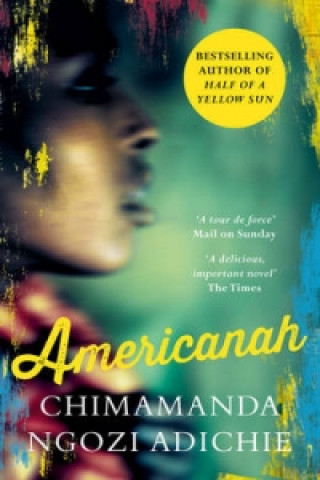 Book Americanah Chimamanda Ngozi Adichie