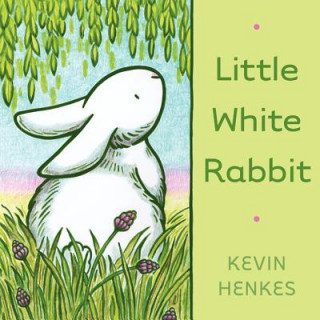 Książka Little White Rabbit Kevin Henkes