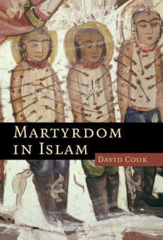 Kniha Martyrdom in Islam David Cook