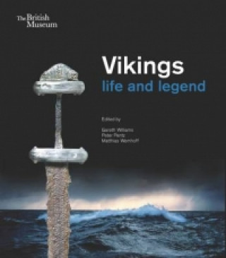 Kniha Vikings Gareth Williams