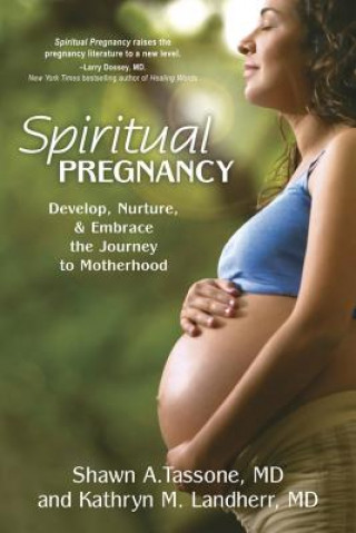 Kniha Spiritual Pregnancy Shawn A Tassone