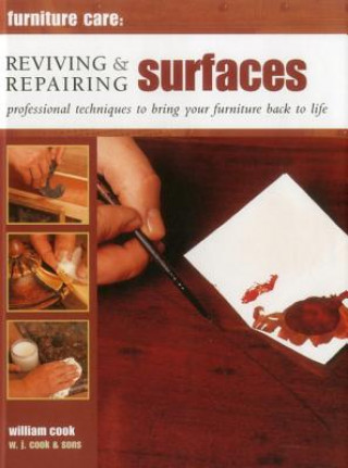 Kniha Furniture Care: Reviving and Repairing Surfaces William Cook