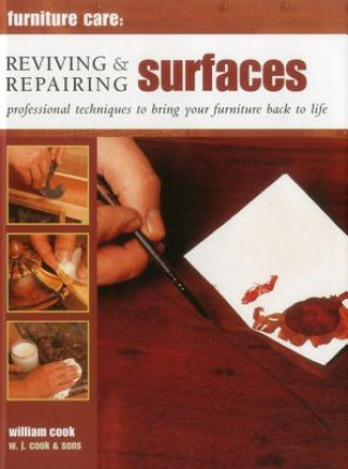 Knjiga Furniture Care: Reviving and Repairing Surfaces William Cook