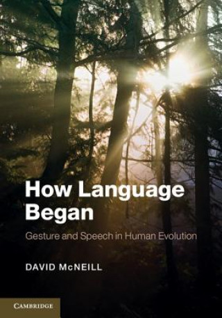 Livre How Language Began David McNeill