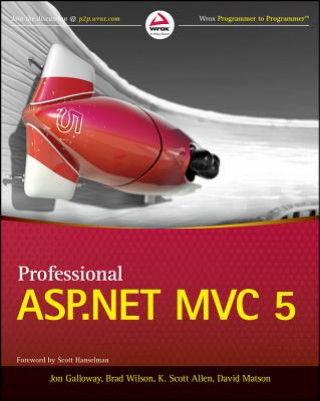 Kniha Professional ASP.NET MVC 5 Jon Galloway