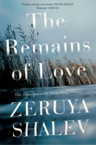 Kniha Remains of Love Zeruya Shalev