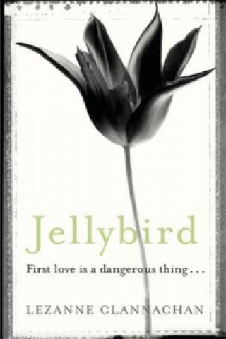 Book Jellybird Lezanne Clannachan