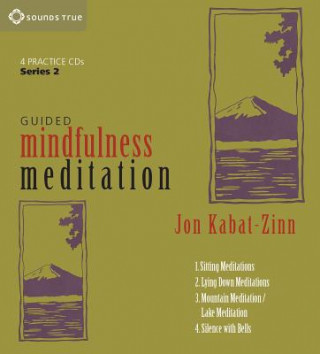 Audio Guided Mindfulness Meditation Series 2 Jon Kabat Zinn