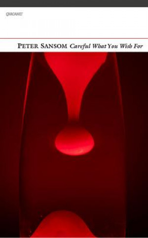 Книга Careful What You Wish for Peter Sansom