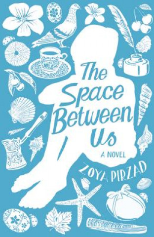 Könyv Space Between Us Zoya Pirzad