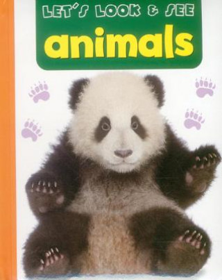Kniha Let's Look & See: Animals Armadillo