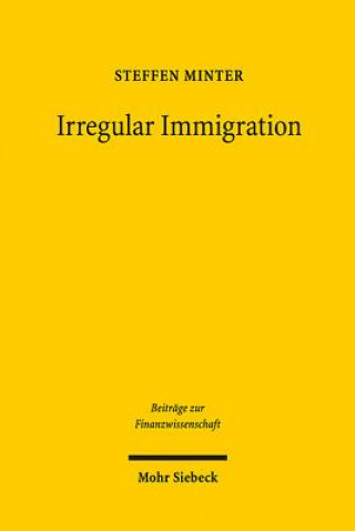 Kniha Irregular Immigration Steffen Minter