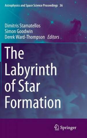 Buch Labyrinth of Star Formation Dimitris Stamatellos