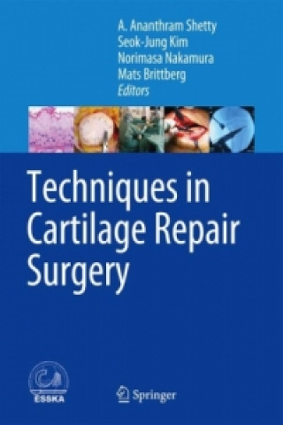 Книга Techniques in Cartilage Repair Surgery A. Ananthram Shetty