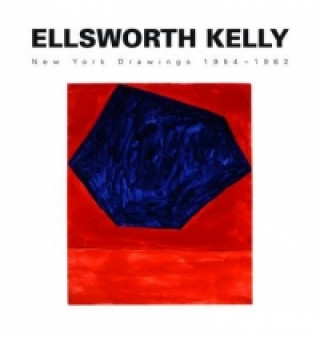 Kniha Ellsworth Kelly Richard Schiff