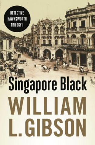 Könyv Singapore Black William Gibson
