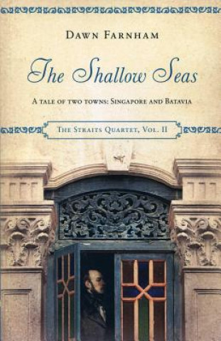 Kniha Shallow Seas Dawn Farnham