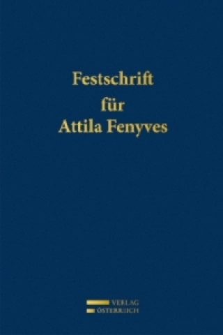 Kniha Festschrift für Attila Fenyves Stefan Perner
