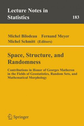 Kniha Space, Structure and Randomness Michel Bilodeau