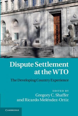 Könyv Dispute Settlement at the WTO Gregory C. Shaffer