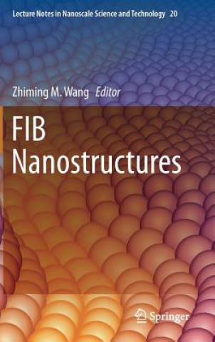 Carte FIB Nanostructures Zhiming M. Wang