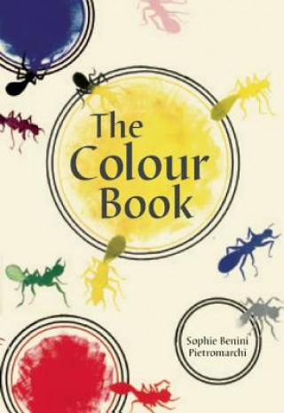 Book Colour Book, The Sophie Benini Pietromarchi