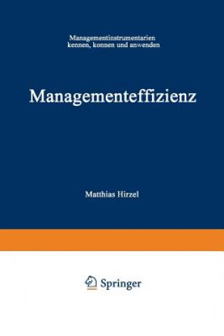 Book Managementeffizienz Matthias Hirzel