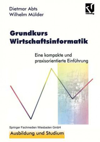 Könyv Grundkurs Wirtschaftsinformatik Dietmar Abts