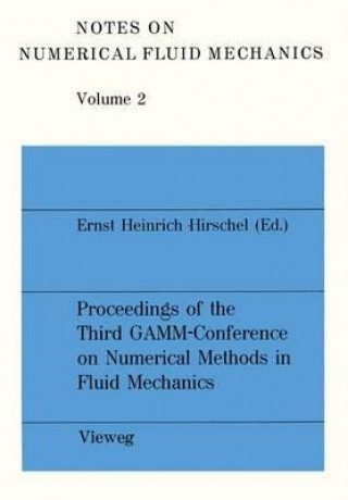 Książka Numerical Methods in Fluid Mechanics Ernst Heinrich Hirschel