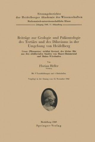 Książka Beitr ge Zur Geologie Und Pal ontologie Des Terti rs Und Des Diluviums in Der Umgebung Von Heidelberg F. Heller