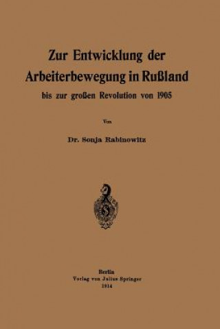 Könyv Zur Entwicklung Der Arbeiterbewegung in Russland Bis Zur Grossen Revolution Von 1905 Sonja Rabinowitz