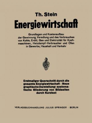 Könyv Energiewirtschaft Th. Stein