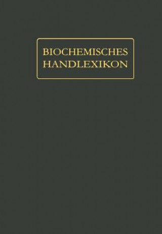 Kniha Biochemisches Handlexikon Wolfgang Langenbeck